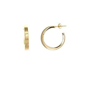 SALVATORE 254A0028 PENDIENTES PLATA