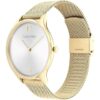 CK TIMELESS 2H GOLD