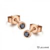 LECARRE GB020OR BL PENDIENTES ORO ROSA