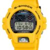 G-SHOCK-DW-6900TR-9ER
