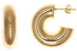 SALVATORE 254A0019 PENDIENTES PLATA