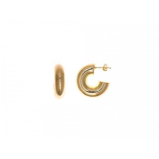 SALVATORE 254A0021 PENDIENTES PLATA